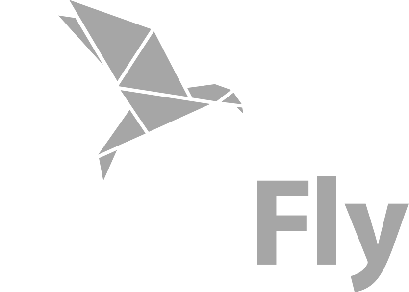 Small Fly